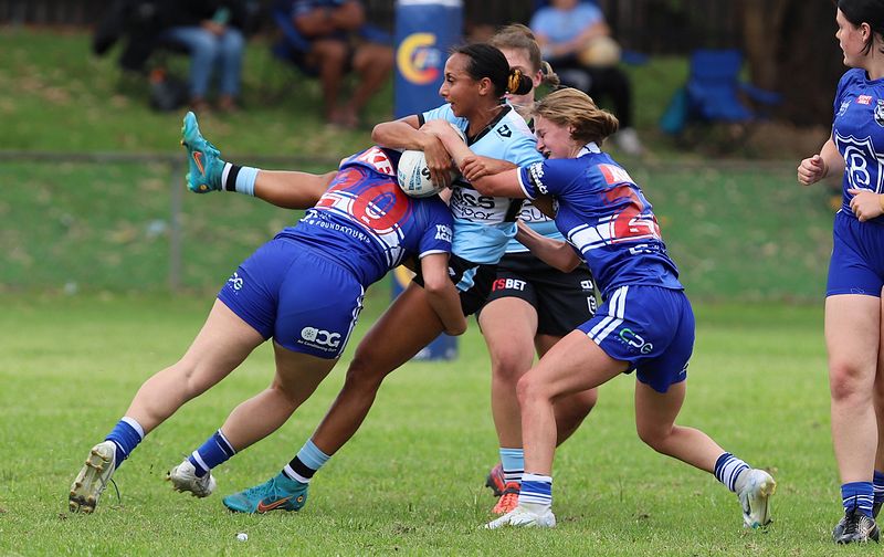 HNWP trial BULLDOGS v SHARKS