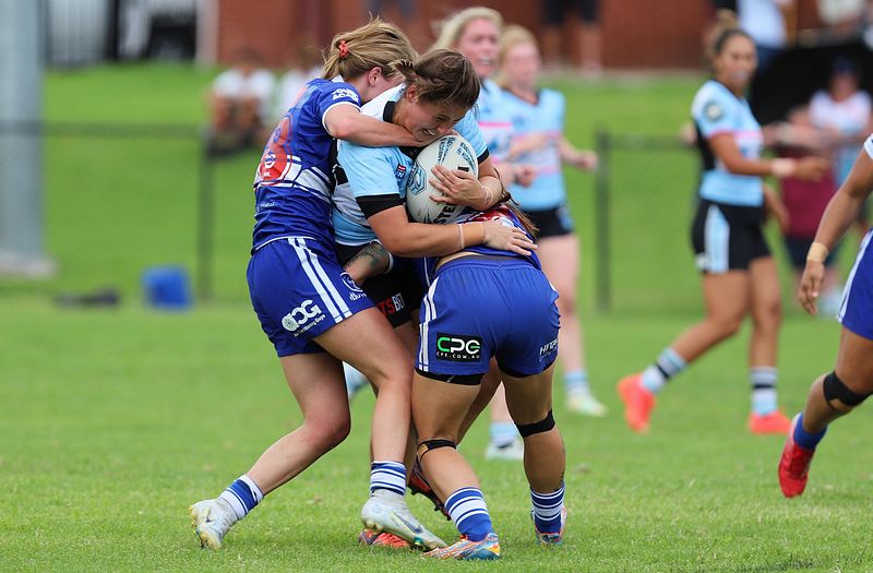 HNWP trial BULLDOGS v SHARKS