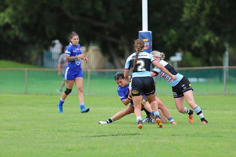 HNWP trial BULLDOGS v SHARKS
