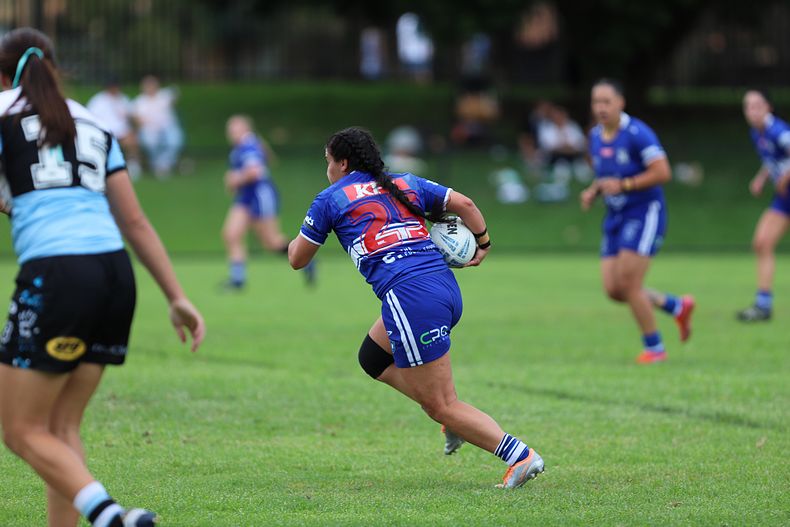HNWP trial BULLDOGS v SHARKS