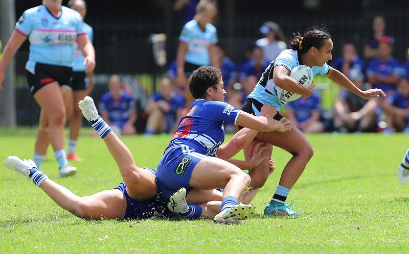 HNWP trial BULLDOGS v SHARKS