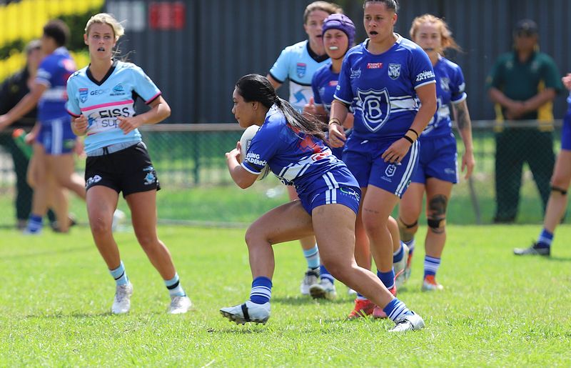 HNWP trial BULLDOGS v SHARKS