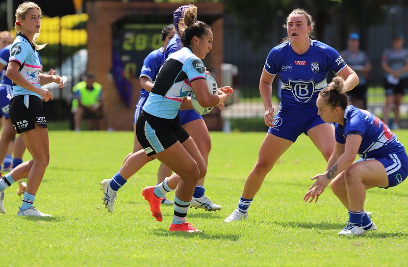 HNWP trial BULLDOGS v SHARKS