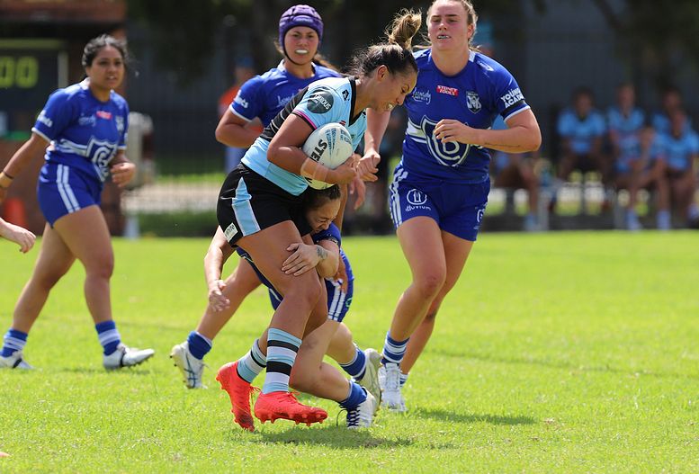 HNWP trial BULLDOGS v SHARKS