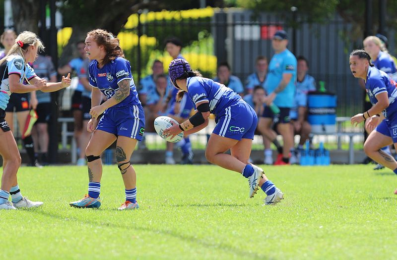 HNWP trial BULLDOGS v SHARKS