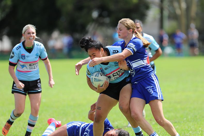 HNWP trial BULLDOGS v SHARKS