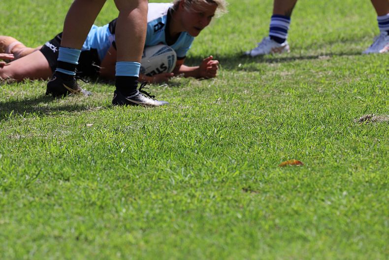 HNWP trial BULLDOGS v SHARKS