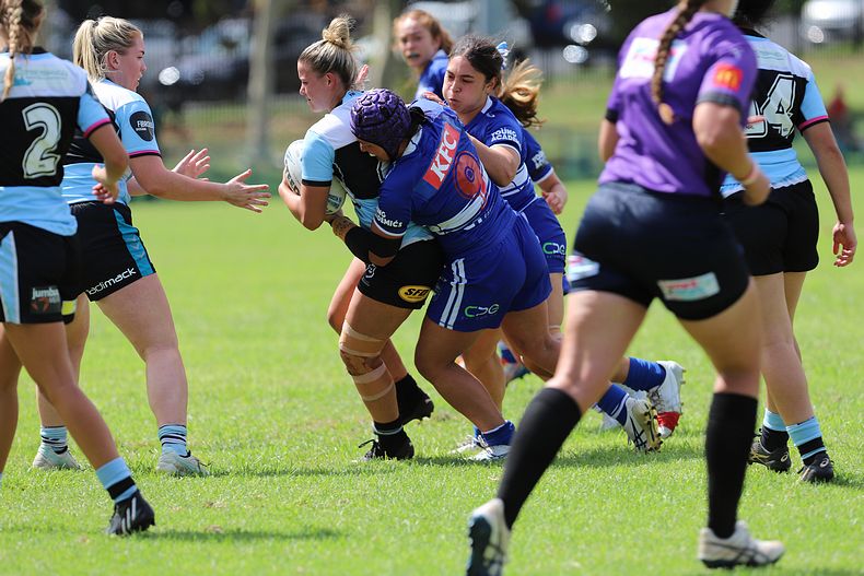 HNWP trial BULLDOGS v SHARKS