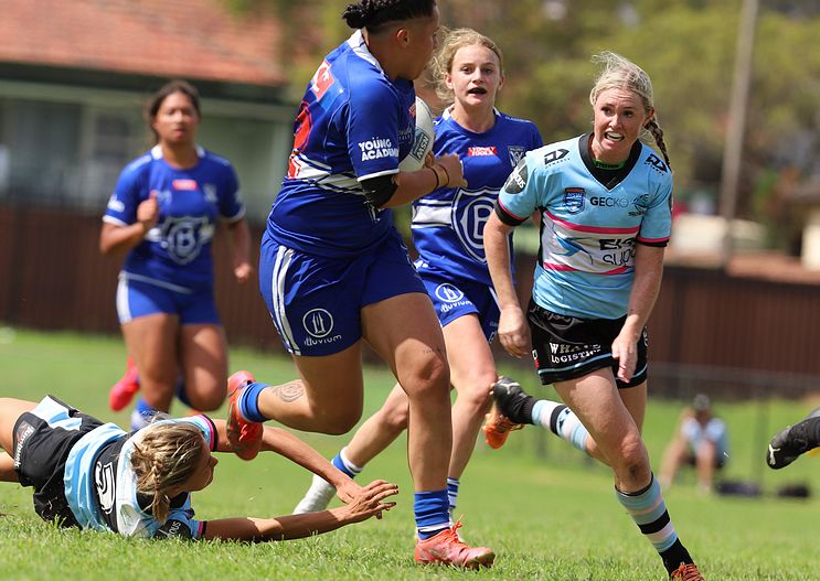 HNWP trial BULLDOGS v SHARKS