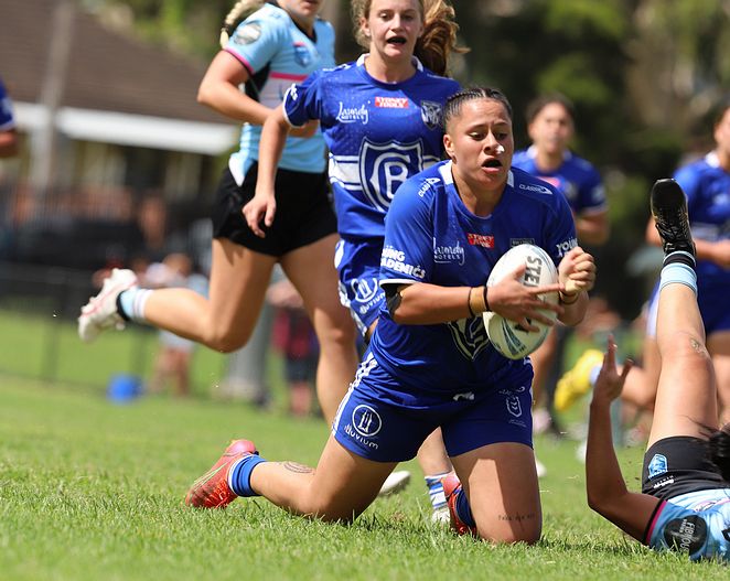 HNWP trial BULLDOGS v SHARKS