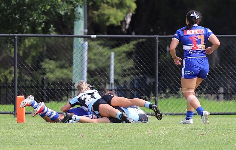 HNWP trial BULLDOGS v SHARKS