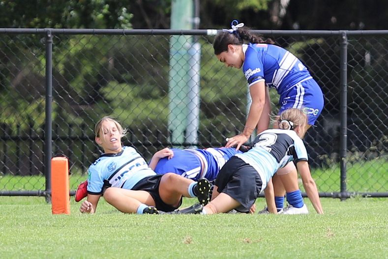 HNWP trial BULLDOGS v SHARKS