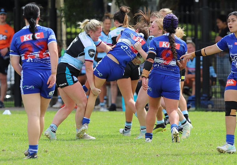 HNWP trial BULLDOGS v SHARKS