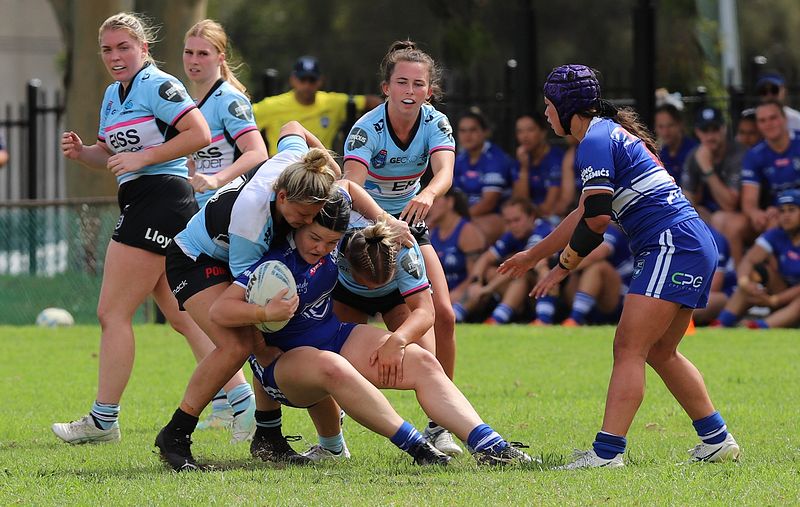 HNWP trial BULLDOGS v SHARKS