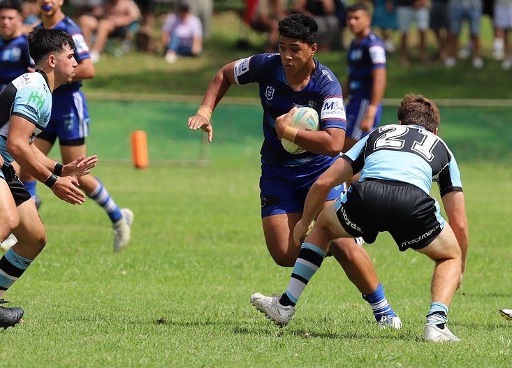 HMC Trial BULLDOGS v SHARKS