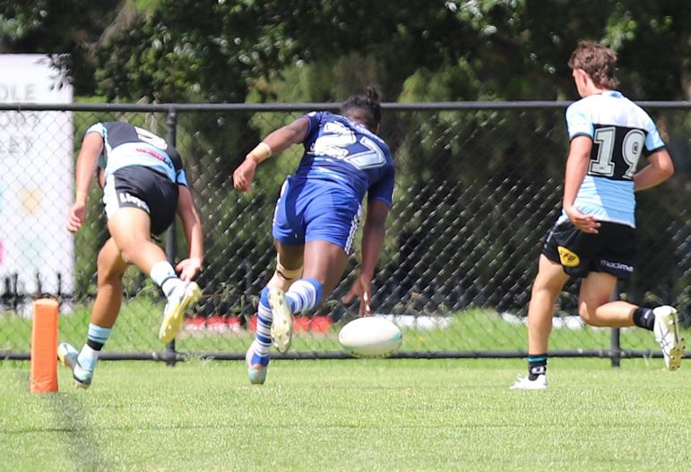 HMC Trial BULLDOGS v SHARKS