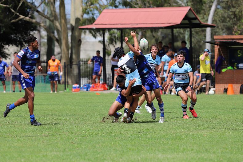 HMC Trial BULLDOGS v SHARKS