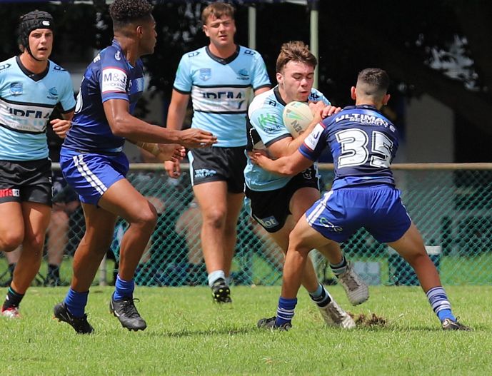 HMC Trial BULLDOGS v SHARKS