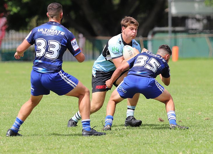 HMC Trial BULLDOGS v SHARKS