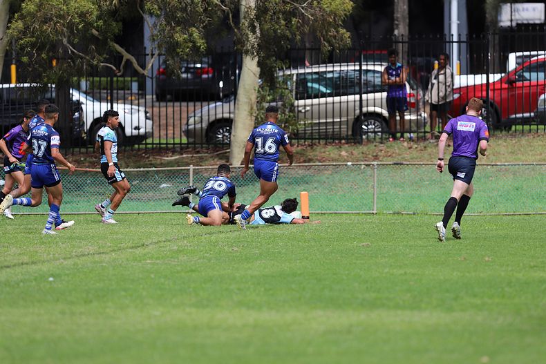 HMC Trial BULLDOGS v SHARKS