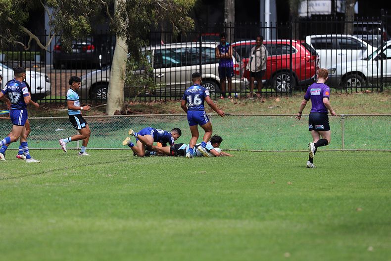 HMC Trial BULLDOGS v SHARKS