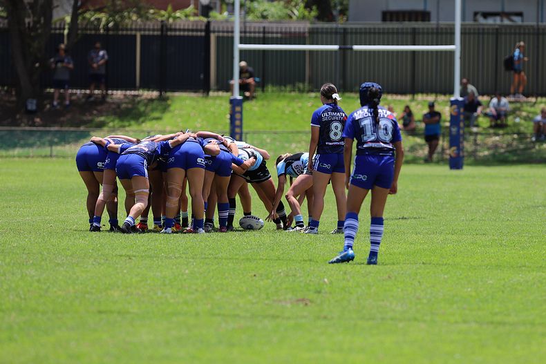 TGC trial BULLDOGS v SHARKS