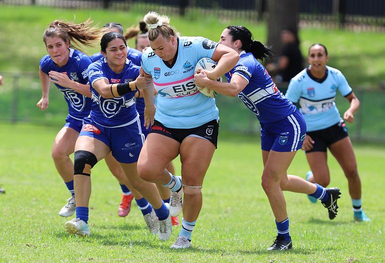 HNWP trial BULLDOGS v SHARKS