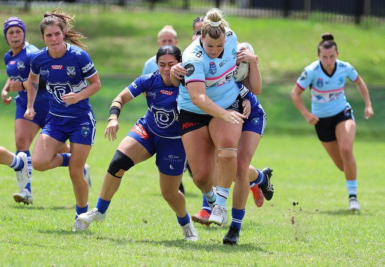 HNWP trial BULLDOGS v SHARKS