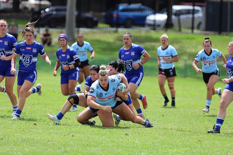 HNWP trial BULLDOGS v SHARKS
