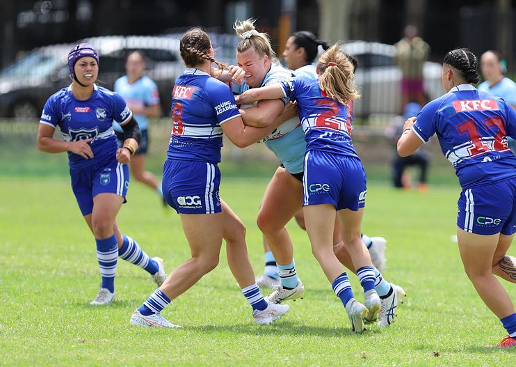 HNWP trial BULLDOGS v SHARKS
