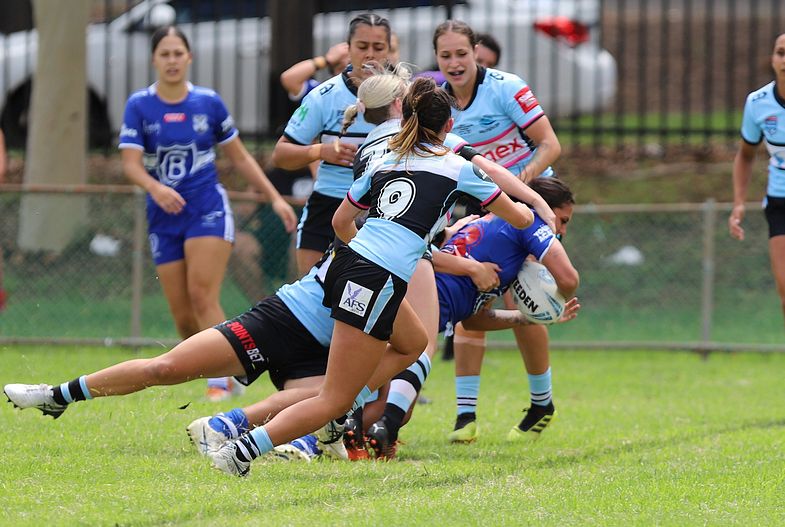 HNWP trial BULLDOGS v SHARKS