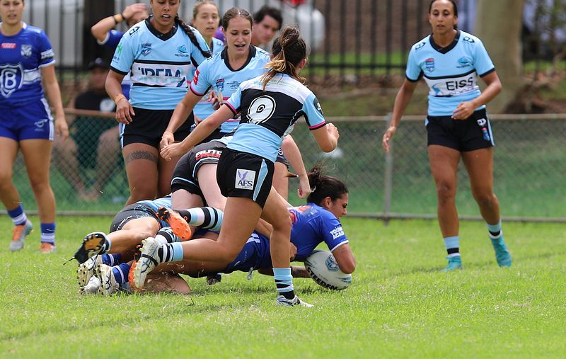 HNWP trial BULLDOGS v SHARKS