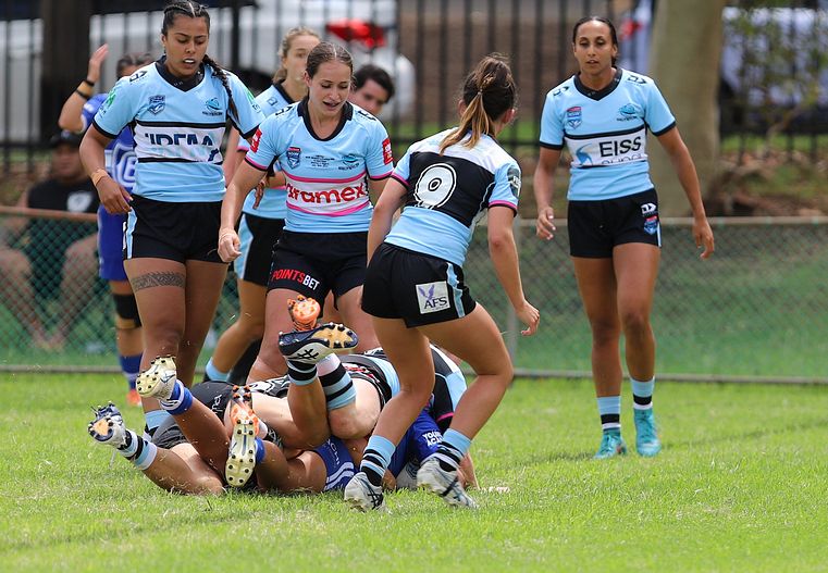 HNWP trial BULLDOGS v SHARKS