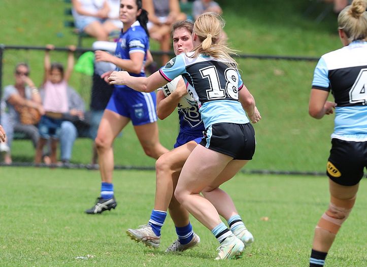 HNWP trial BULLDOGS v SHARKS