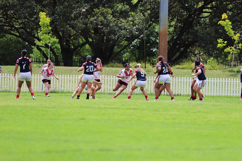 TGC Trial Indigenous ROOSTERS v DRAGONS