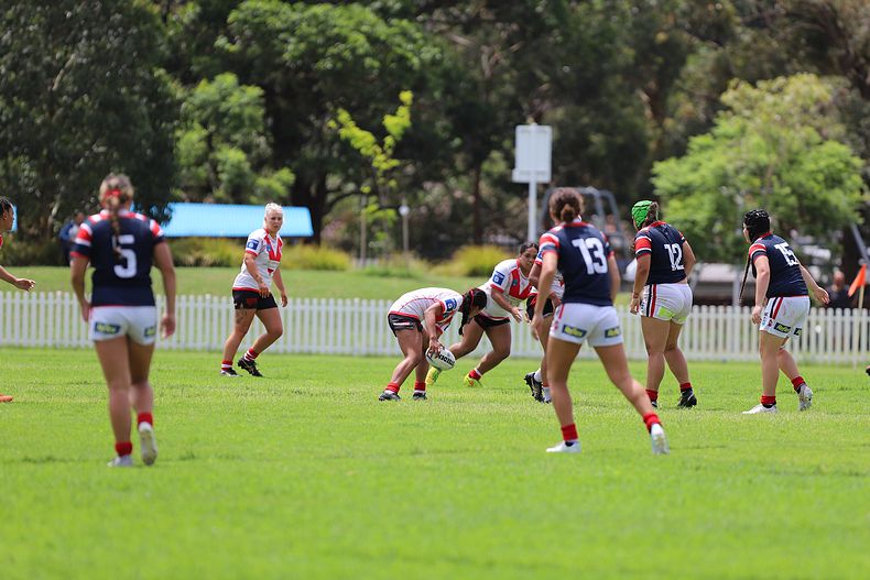 TGC Trial Indigenous ROOSTERS v DRAGONS