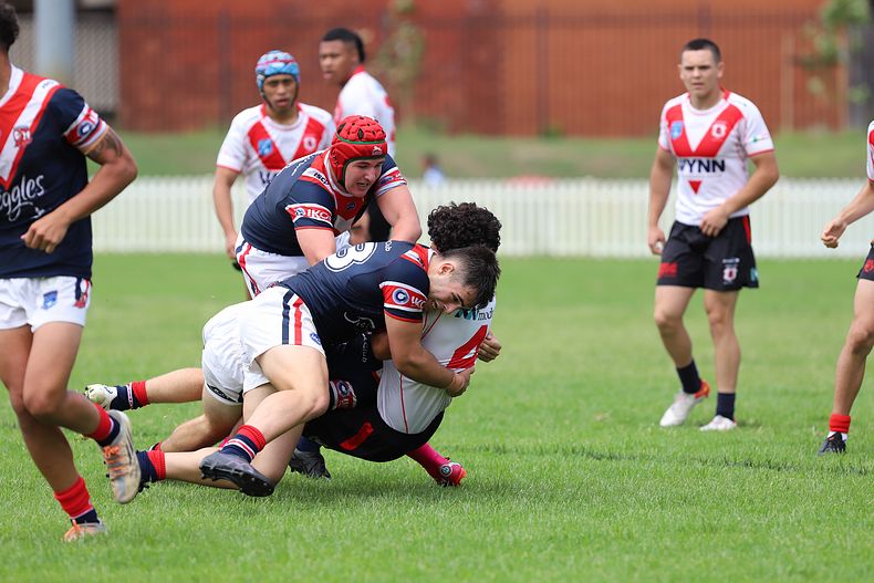 HMC trial ROOSTERS v DRAGONS