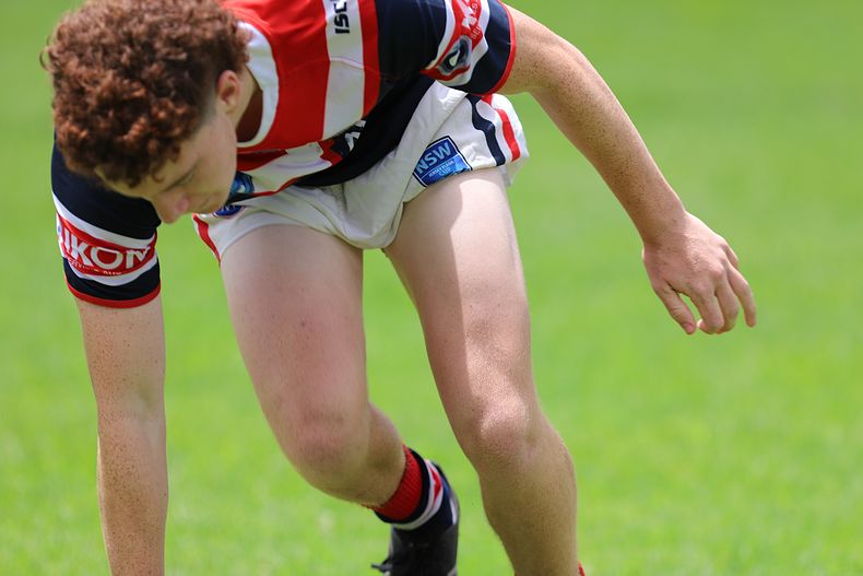 HMC trial ROOSTERS v DRAGONS