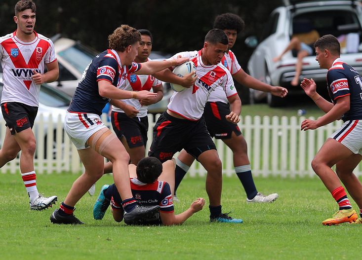 HMC trial ROOSTERS v DRAGONS