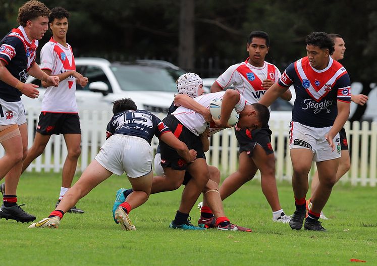 HMC trial ROOSTERS v DRAGONS