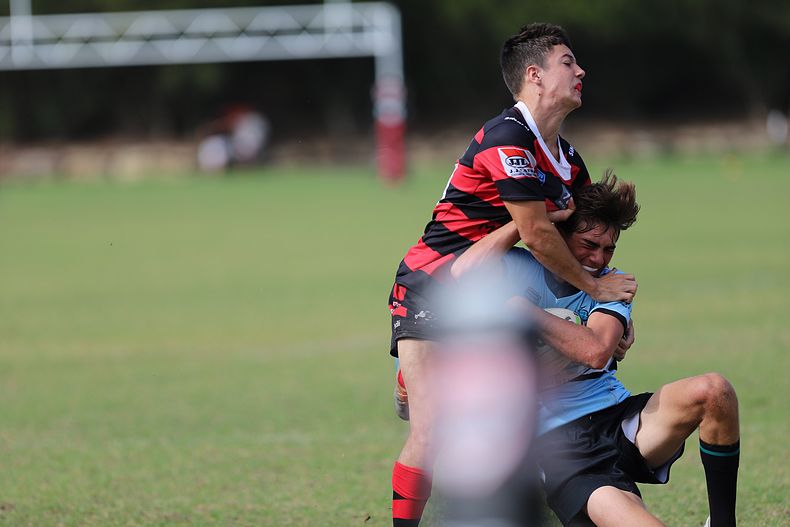 U16s Academy BEARS v SHARKS