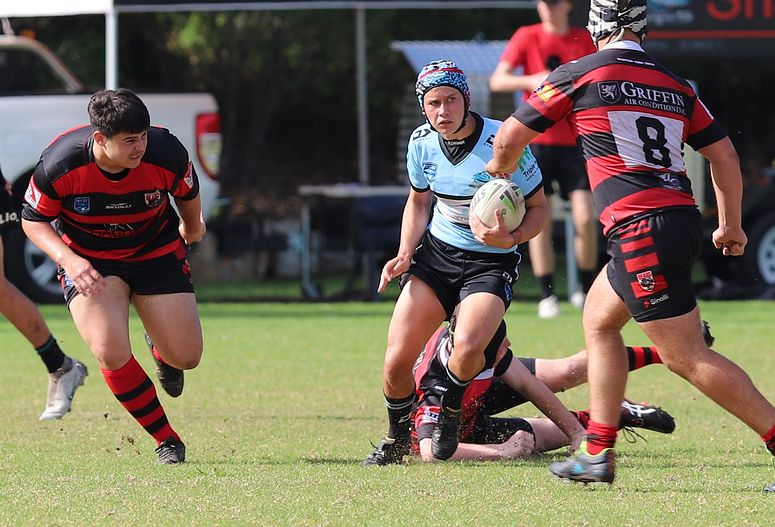 U16s Academy BEARS v SHARKS