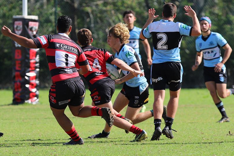 U16s Academy BEARS v SHARKS