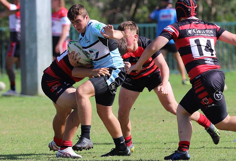 U16s Academy BEARS v SHARKS