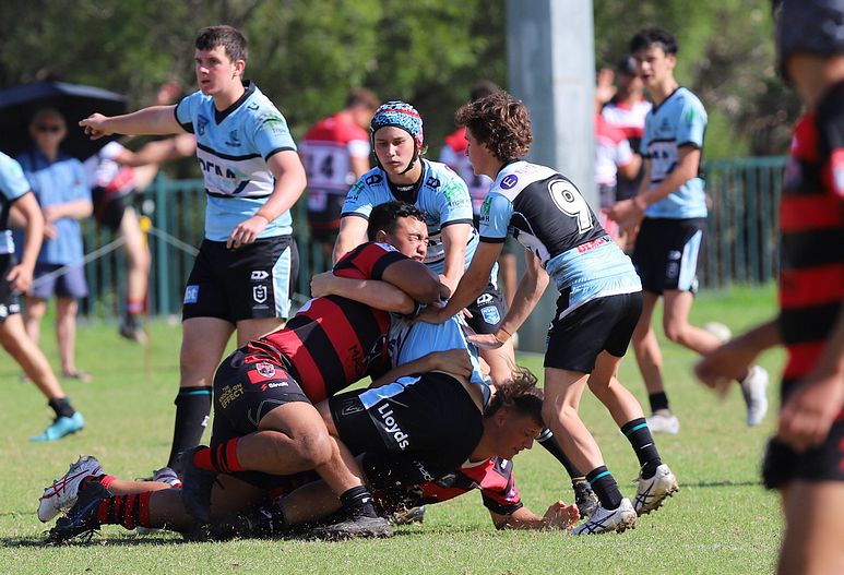 U16s Academy BEARS v SHARKS