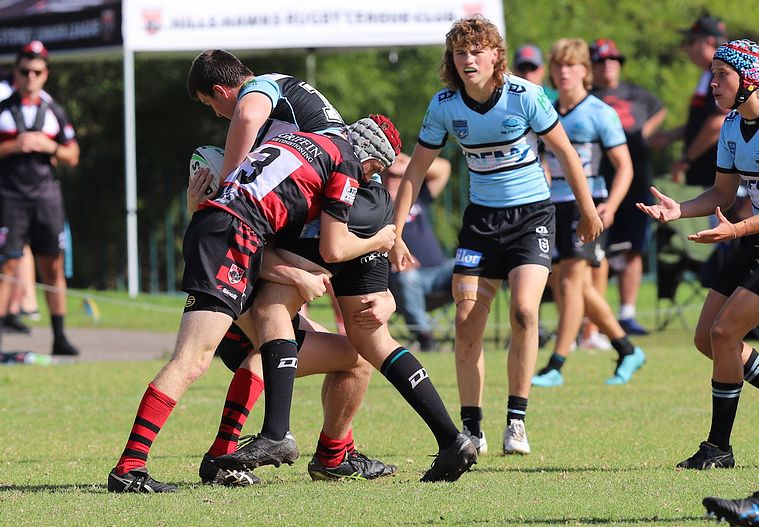 U16s Academy BEARS v SHARKS