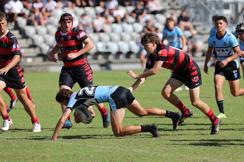 U16s Academy BEARS v SHARKS