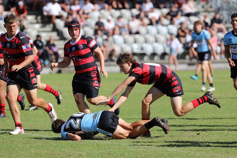 U16s Academy BEARS v SHARKS