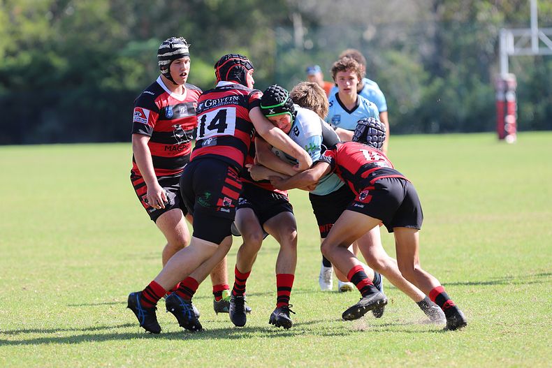 U16s Academy BEARS v SHARKS