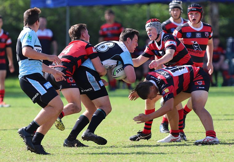 U16s Academy BEARS v SHARKS